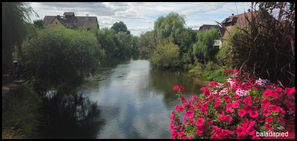 Le restaurant À la Truite à Illhaeusern, vu depuis l’autre rive de l’Ill