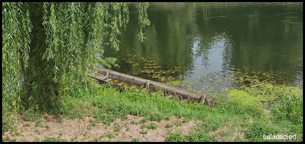 EVE407 — Sentier de l’Ill — photographie 027