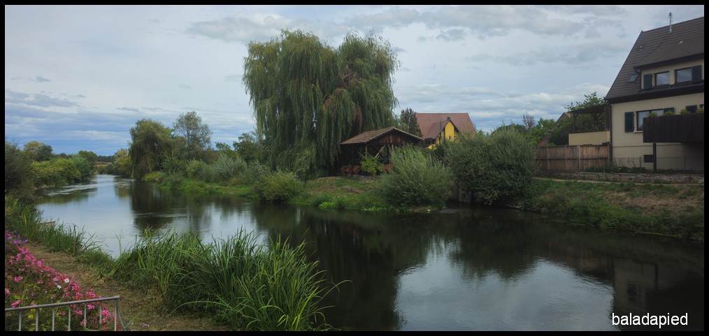 EVE407 — Sentier de l’Ill — photographie 033