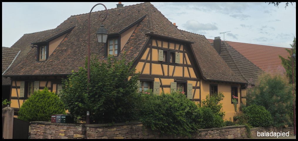 EVE407 — Sentier de l’Ill — photographie 045