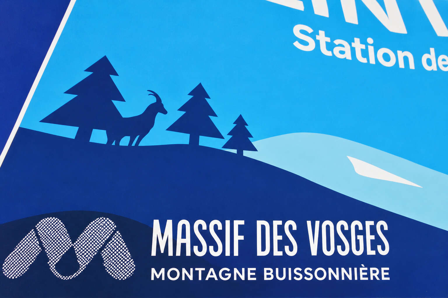 INF270 INSOLITE Des bouquetins dans les Vosges