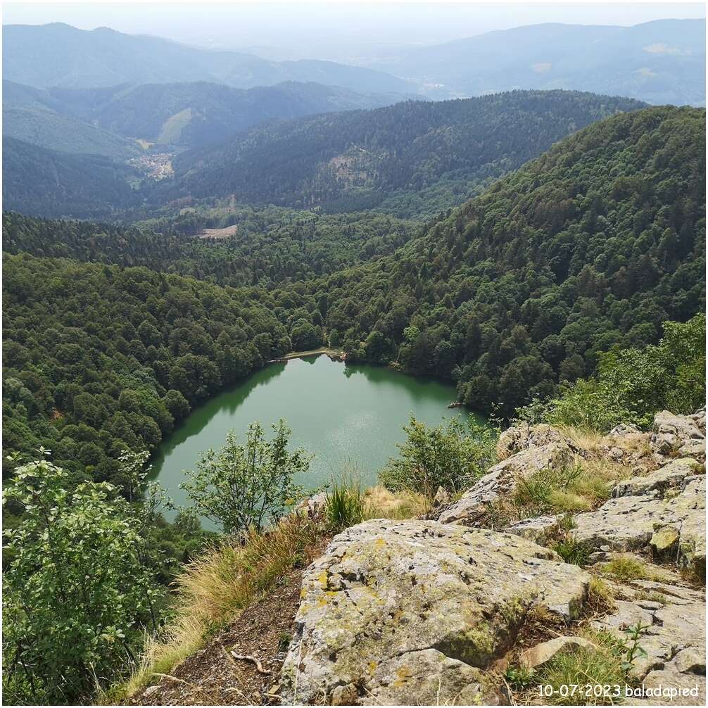 2023 07 10 005 rav 181 230693 rouge gazon perches haute bers