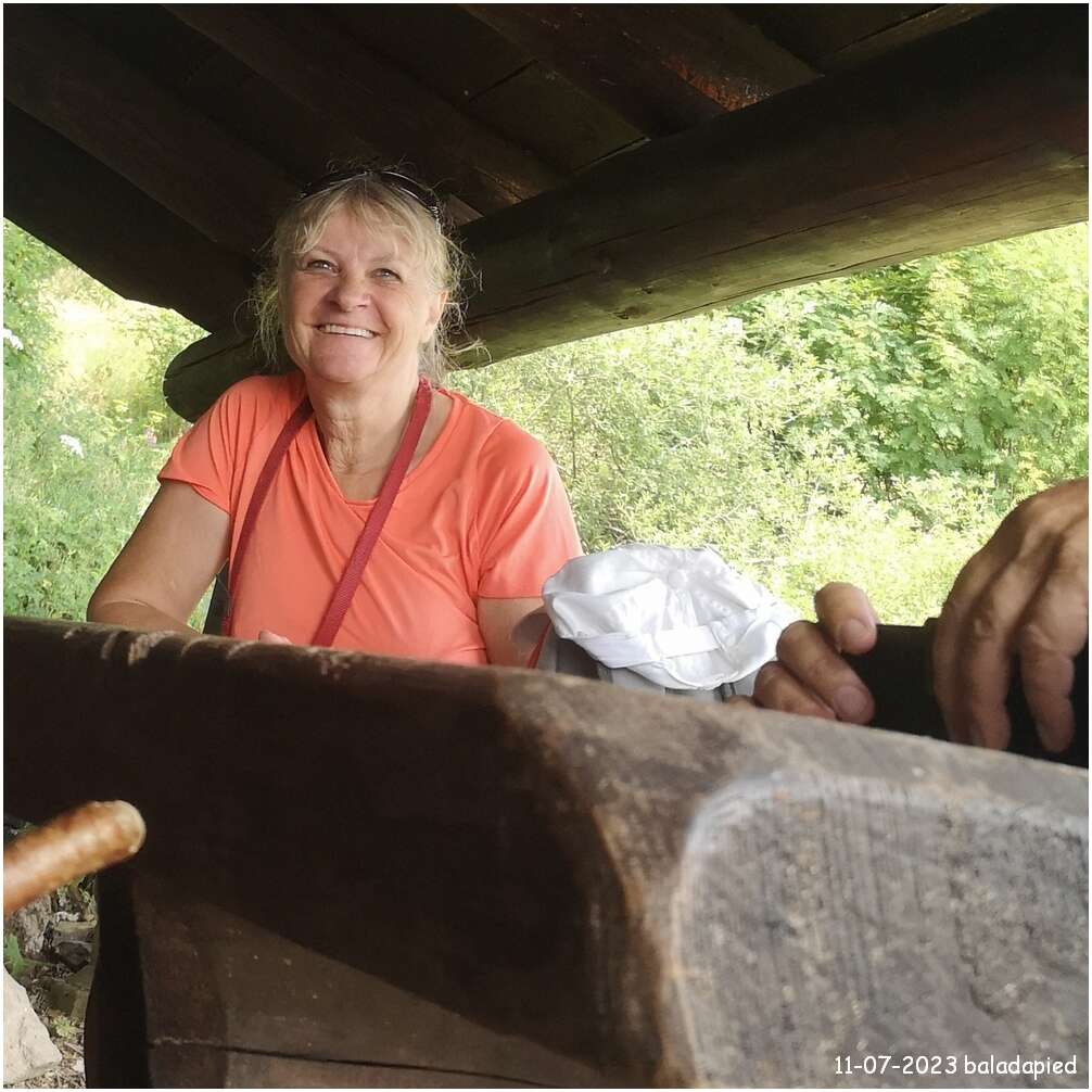 2023 07 10 019 rav 181 230693 rouge gazon perches haute bers cr